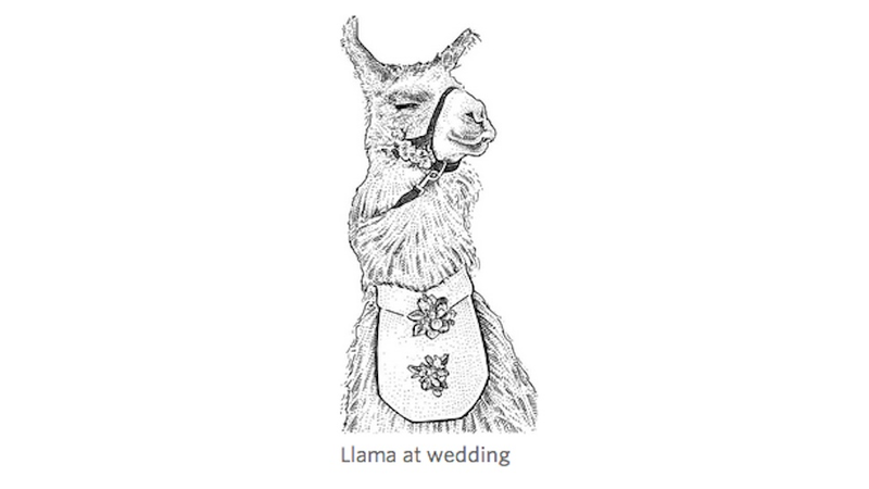 Illustration for article titled Why Don't You... Rent a Llama for Your Wedding?